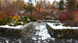 Winter Garden Photo