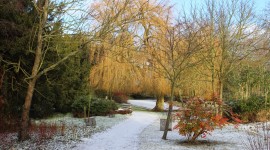 Winter Garden Photo Download