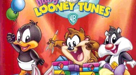 Baby Looney Tunes Aircraft Picture