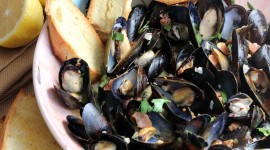 Black Sea Mussels Wallpaper For PC