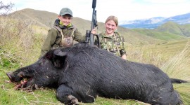 Boar Hunting Wallpaper Download Free
