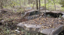 Car In The Forest Wallpaper For IPhone#1