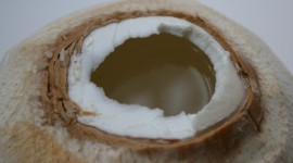Coconut Opening Wallpaper Download