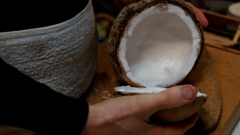 Coconut Opening wallpapers high quality