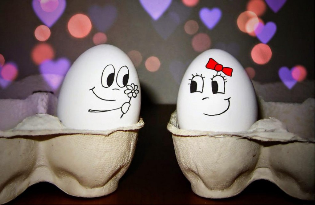 Funny Eggs wallpapers HD