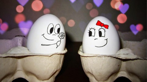 Funny Eggs wallpapers high quality