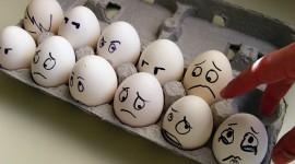 Funny Eggs Desktop Wallpaper For PC