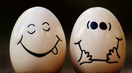 Funny Eggs Image Download