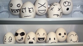 Funny Eggs Photo