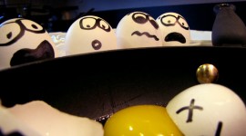Funny Eggs Photo Download
