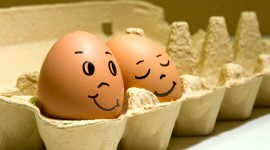Funny Eggs Wallpaper