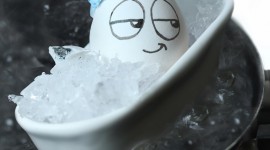 Funny Eggs Wallpaper For IPhone
