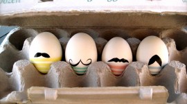 Funny Eggs Wallpaper Full HD