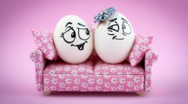 Funny Eggs Wallpaper HQ