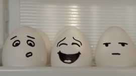 Funny Eggs Photo#1