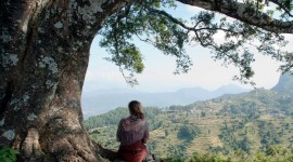Meditation In Nepal Wallpaper For Desktop