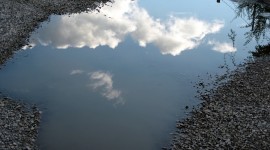 Reflection In A Puddle Image Download