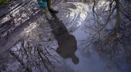 Reflection In A Puddle Photo