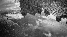 Reflection In A Puddle Photo Download