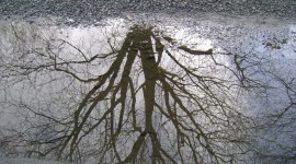Reflection In A Puddle Wallpaper Gallery