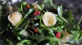 Salad With Dried Tomatoes High Quality Wallpaper