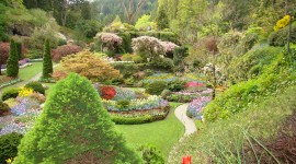 Butchart Gardens Image Download