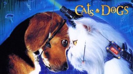 Cats & Dogs Image Download