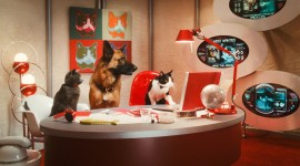 Cats & Dogs Desktop Wallpaper