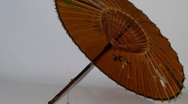 Chinese Umbrella Photo#2