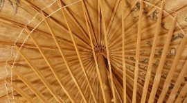 Chinese Umbrella Picture Download