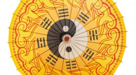 Chinese Umbrella Wallpaper