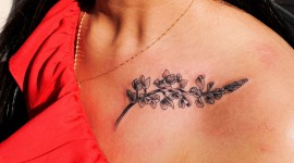 Lupine Flower Tattoo High Quality Wallpaper