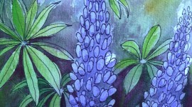 Lupine Flower Tattoo Wallpaper Download