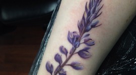 Lupine Flower Tattoo Wallpaper For Mobile