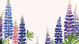 Lupine Flower Tattoo Wallpaper For PC