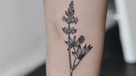 Lupine Flower Tattoo Wallpaper High Definition