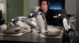 Mr. Popper's Penguins Wallpaper 1080p
