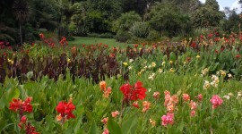 Royal Botanic Gardens Melbourne For IPhone