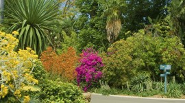 Royal Botanic Gardens Melbourne Image
