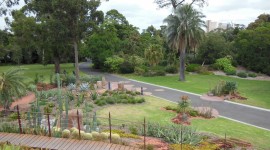 Royal Botanic Gardens Melbourne Image#3