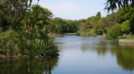 Royal Botanic Gardens Melbourne Image#5