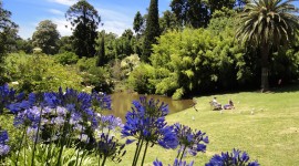 Royal Botanic Gardens Melbourne Photo#4