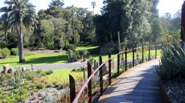 Royal Botanic Gardens Melbourne Pics