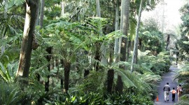 Royal Botanic Gardens Melbourne Pics#1