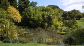 Royal Botanic Gardens Melbourne Pics#3