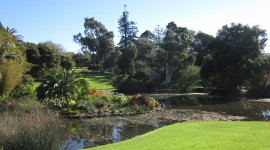 Royal Botanic Gardens Melbourne Pics#4