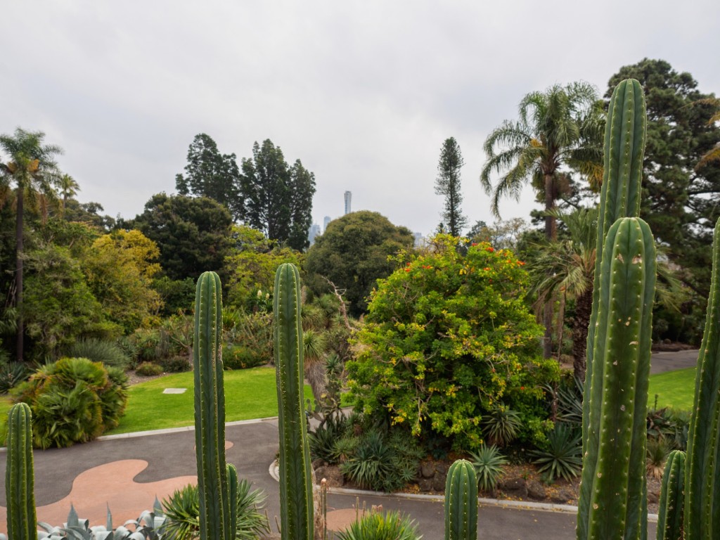Royal Botanic Gardens Melbourne wallpapers HD
