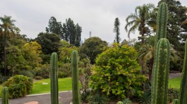 Royal Botanic Gardens Melbourne Wallpaper