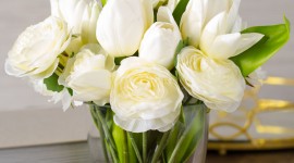 Sale Of Tulips Wallpaper For IPhone