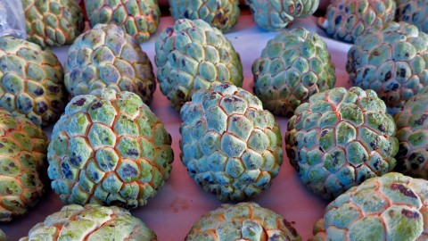 Sugar Apple wallpapers high quality